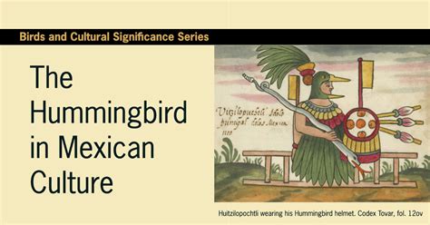 Xochitl and the Talking Hummingbird: Discover the Magical Symbolism of this 19th-Century Mexican Folktale!